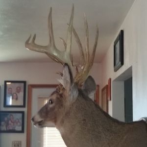 Meet your Posher, Jeff